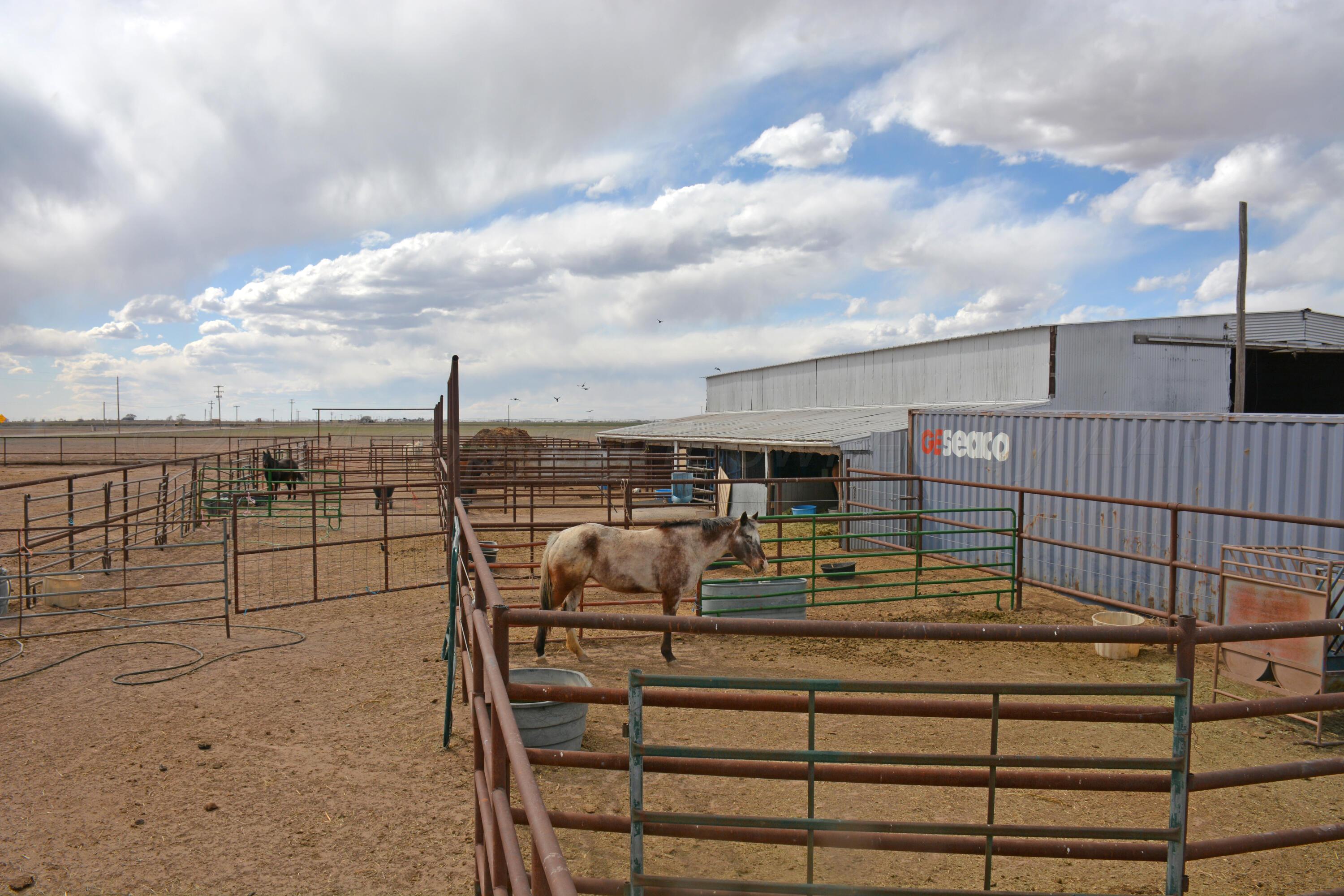 1159 Fm 1760 Muleshoe, TX 79347 - Photo 23 of 34 a view of a terrace with sky view