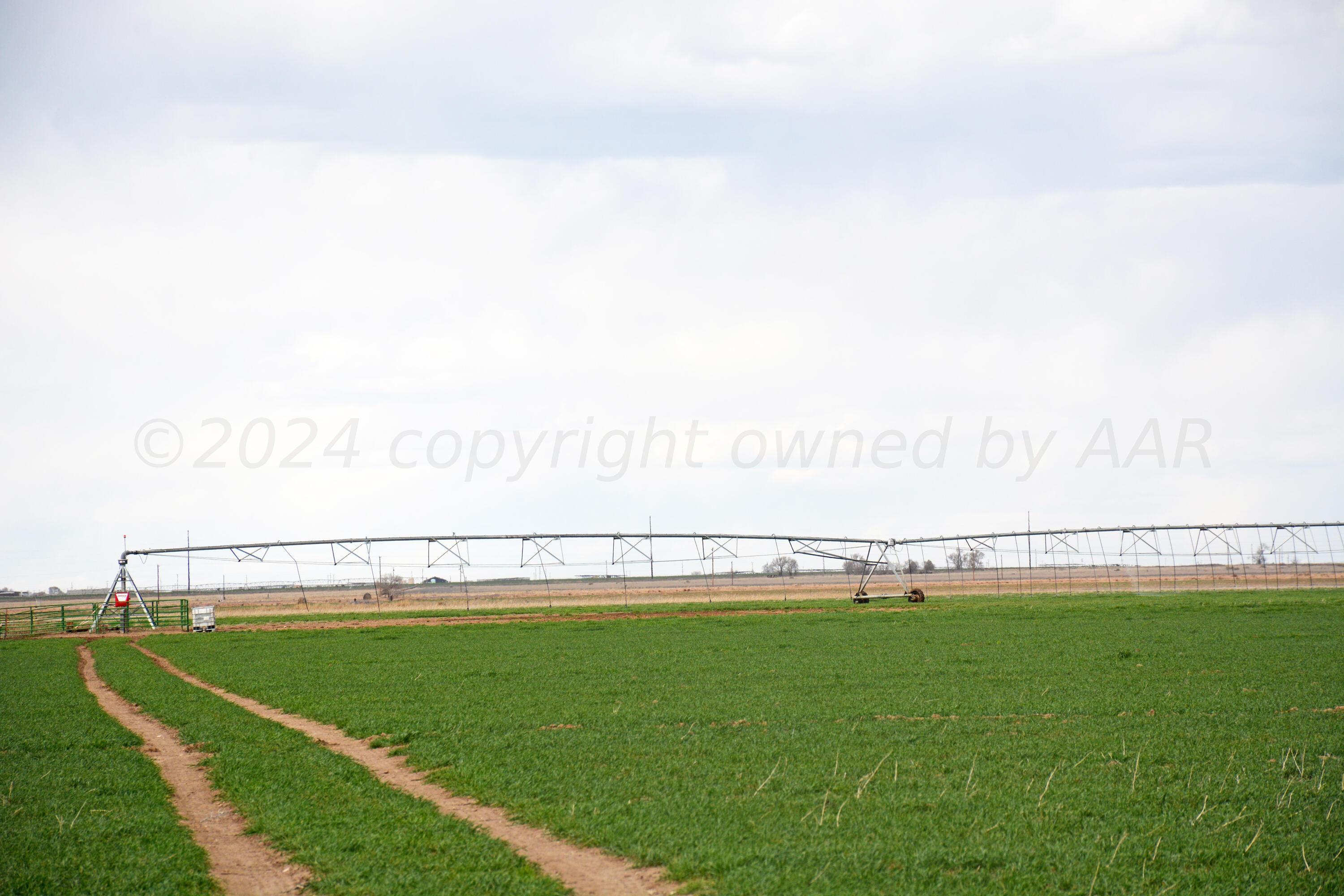 1159 Fm 1760 Muleshoe, TX 79347 - Photo 25 of 34 a view of a green field with lawn