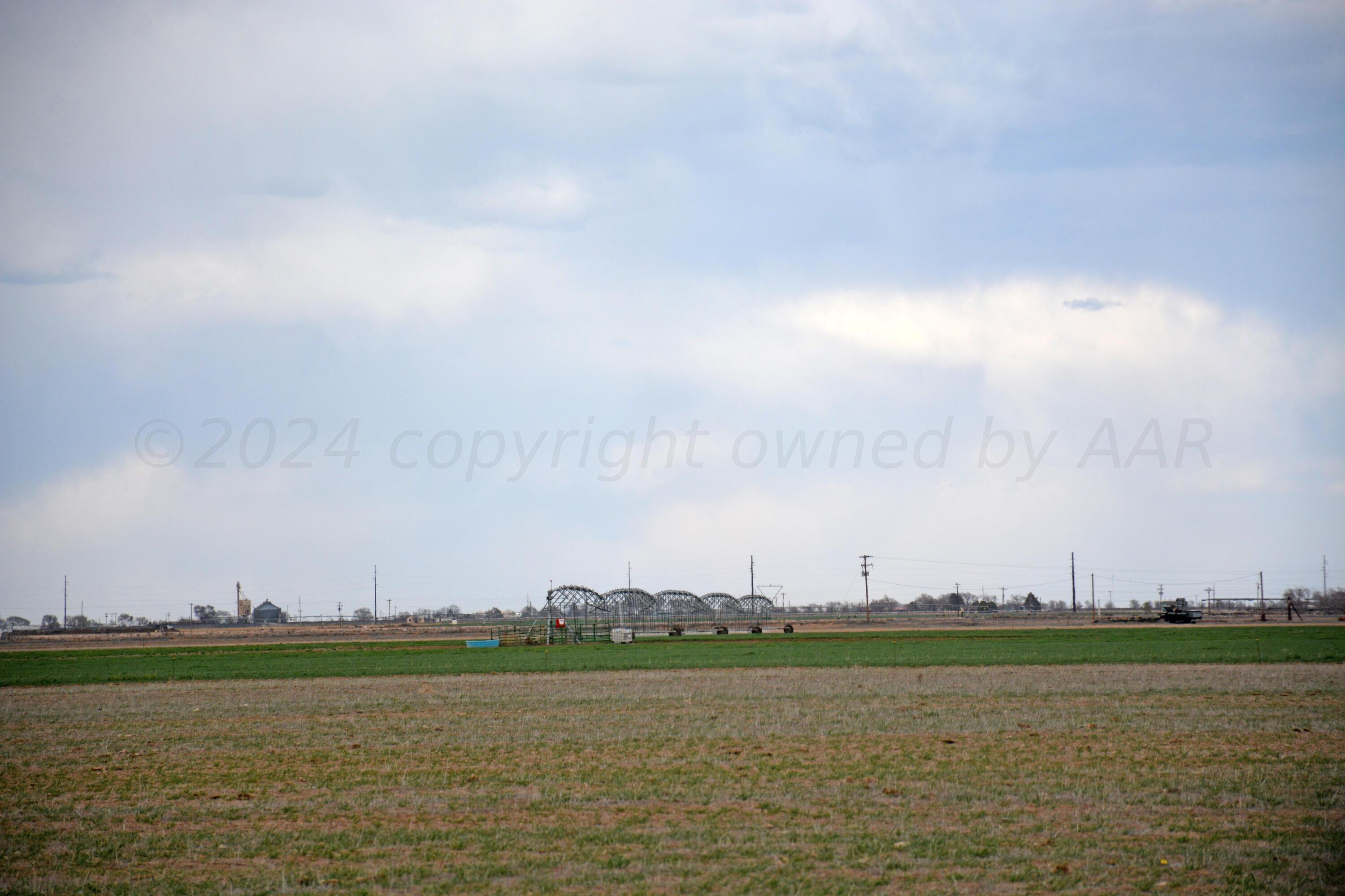 1159 Fm 1760 Muleshoe, TX 79347 - Photo 31 of 34