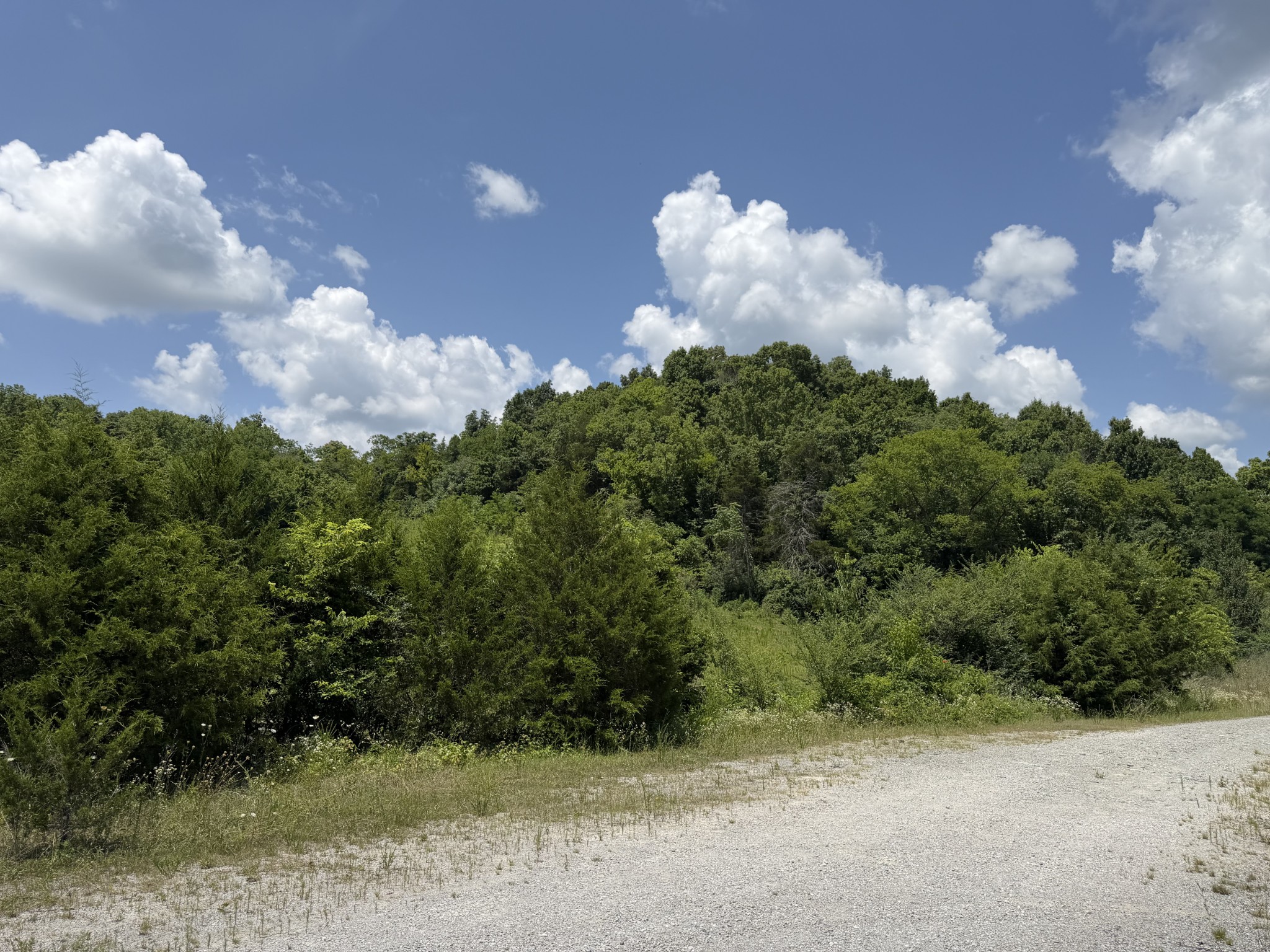 0 Winchester Highway Kelso, TN 37348 - Photo 17 of 46
