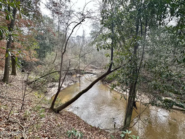 $165,000 | 1 Main Street North, Mendenhall, MS 39114