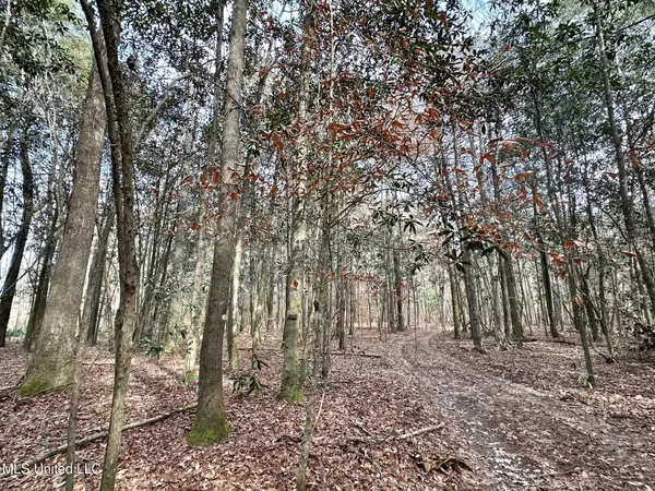 $165,000 | 1 Main Street North, Mendenhall, MS 39114