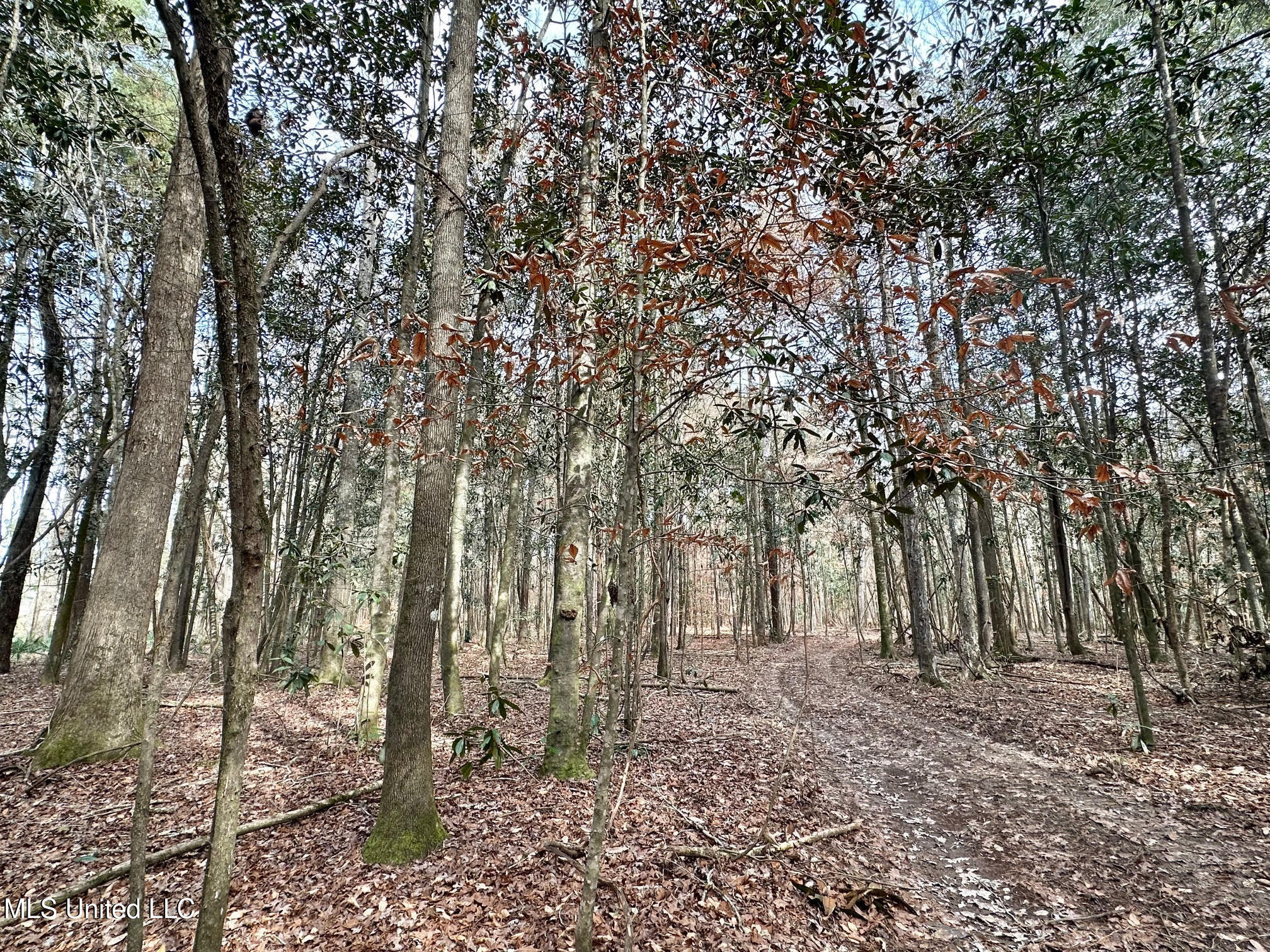 1 Main Street North Mendenhall, MS 39114 - Photo 11 of 37 10