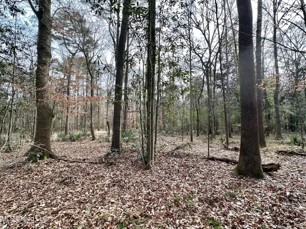 $165,000 | 1 Main Street North, Mendenhall, MS 39114