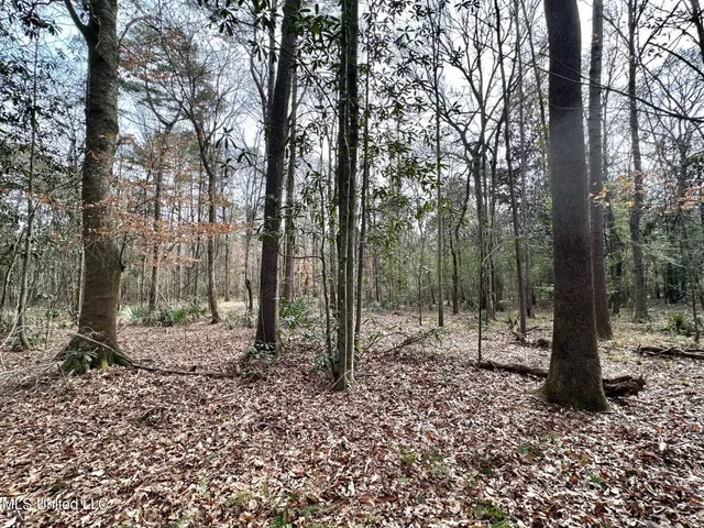 $165,000 | 1 Main Street North, Mendenhall, MS 39114