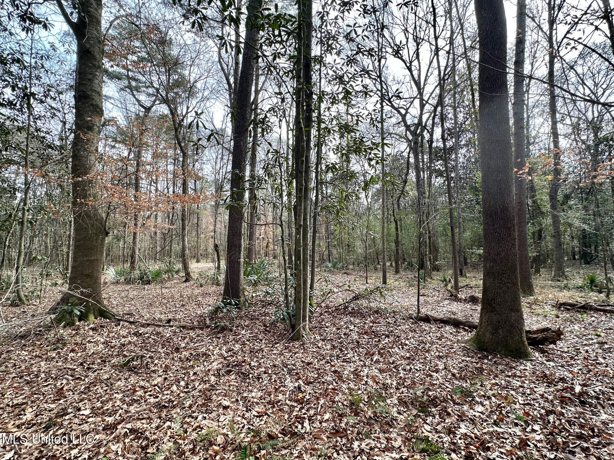 1 Main Street North Mendenhall, MS 39114 - Photo 12 of 37 11