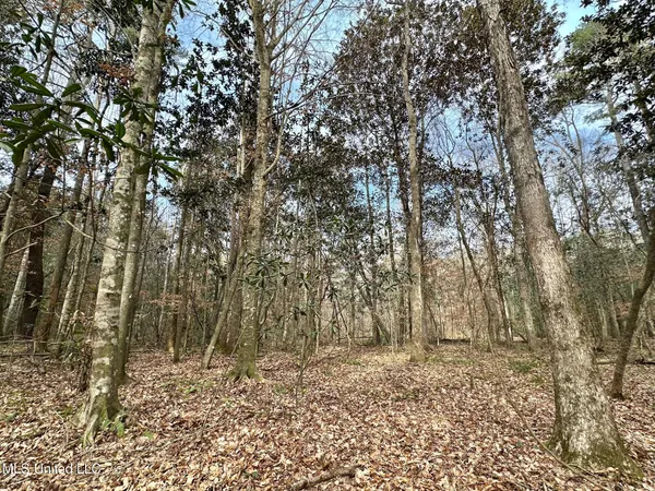 $165,000 | 1 Main Street North, Mendenhall, MS 39114