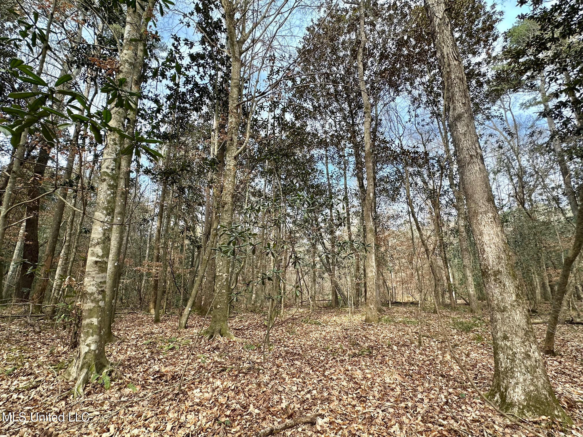 1 Main Street North Mendenhall, MS 39114 - Photo 13 of 37 12