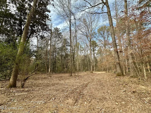 $165,000 | 1 Main Street North, Mendenhall, MS 39114