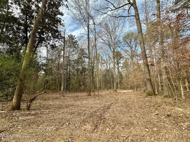 $165,000 | 1 Main Street North, Mendenhall, MS 39114