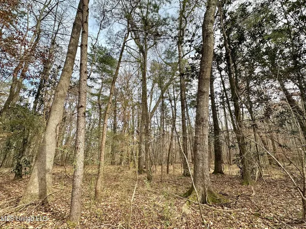 $165,000 | 1 Main Street North, Mendenhall, MS 39114