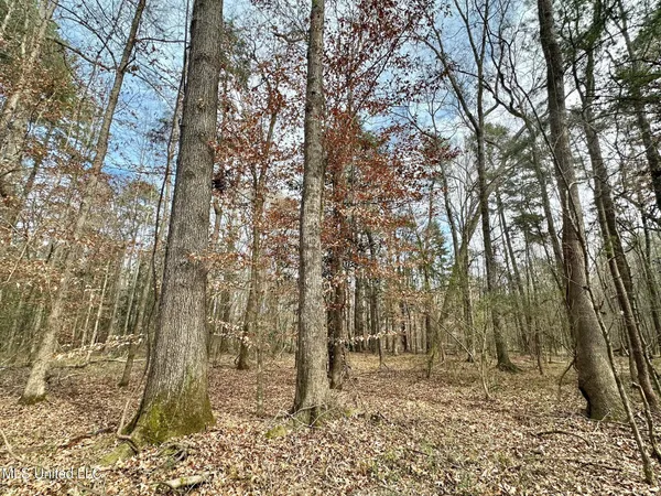 $165,000 | 1 Main Street North, Mendenhall, MS 39114