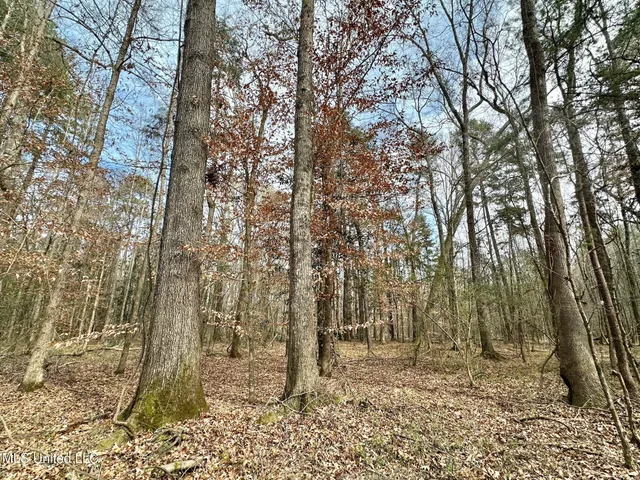 $165,000 | 1 Main Street North, Mendenhall, MS 39114