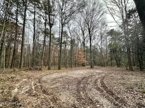 $165,000 | 1 Main Street North, Mendenhall, MS 39114