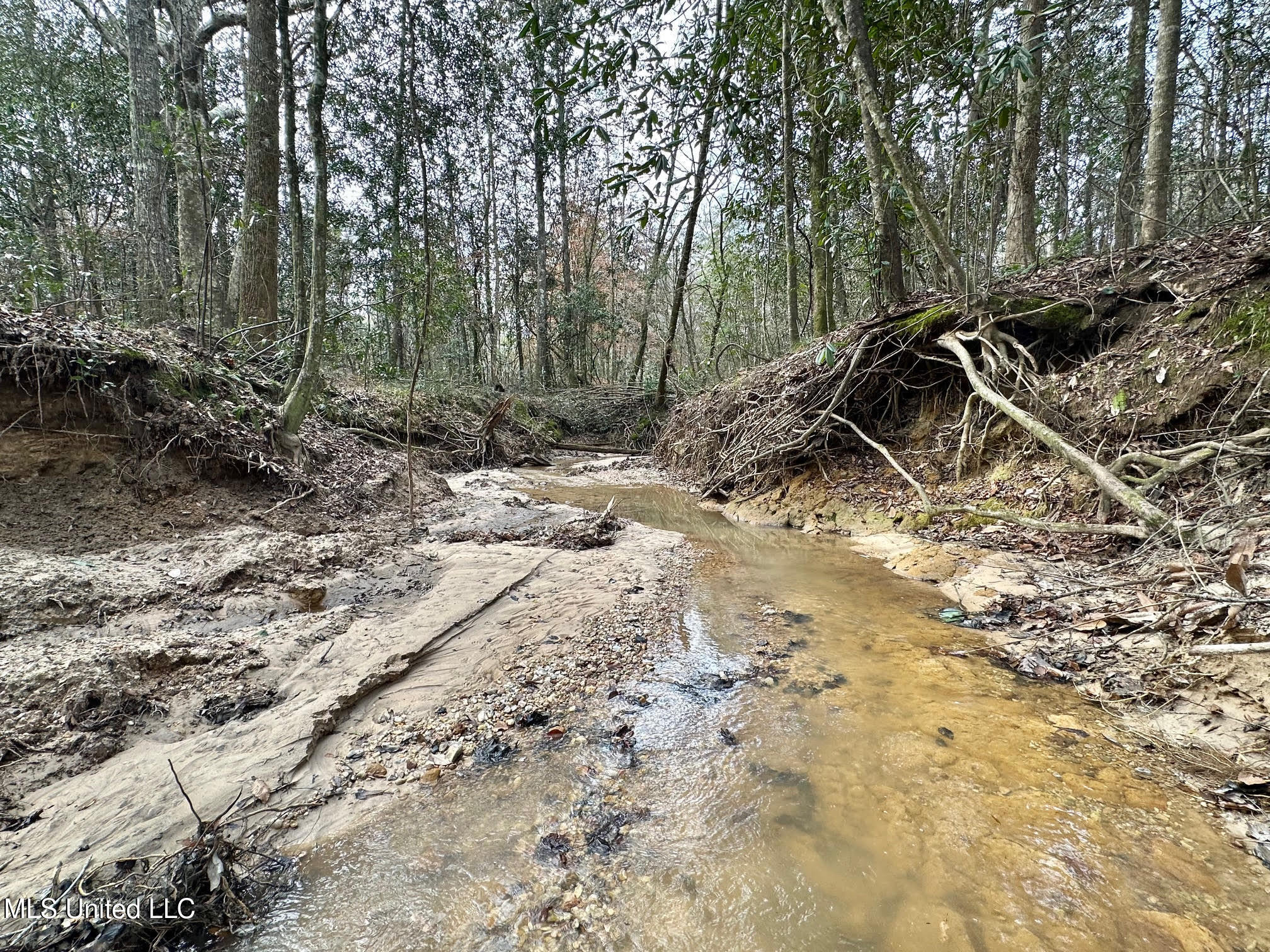 1 Main Street North Mendenhall, MS 39114 - Photo 18 of 37 17