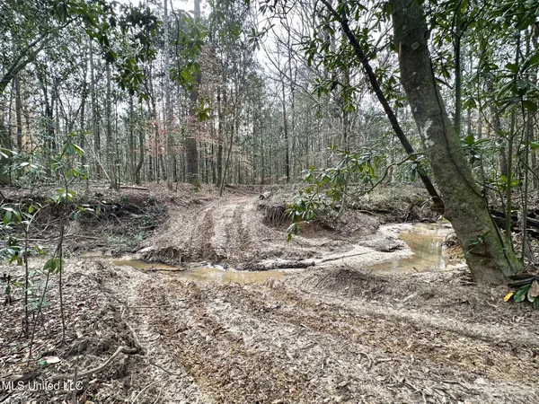 $165,000 | 1 Main Street North, Mendenhall, MS 39114