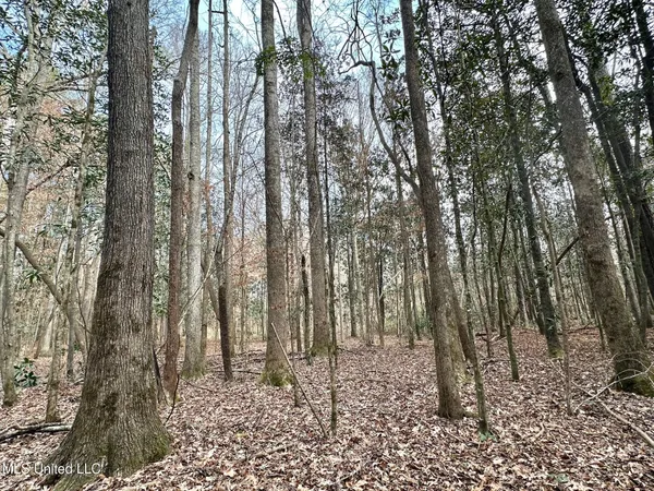 $165,000 | 1 Main Street North, Mendenhall, MS 39114