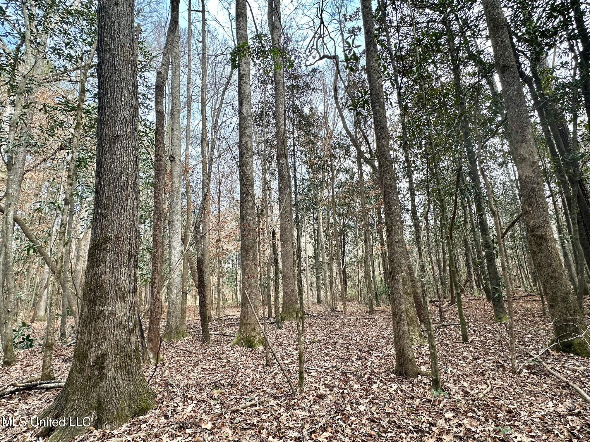 1 Main Street North Mendenhall, MS 39114 - Photo 20 of 37 19