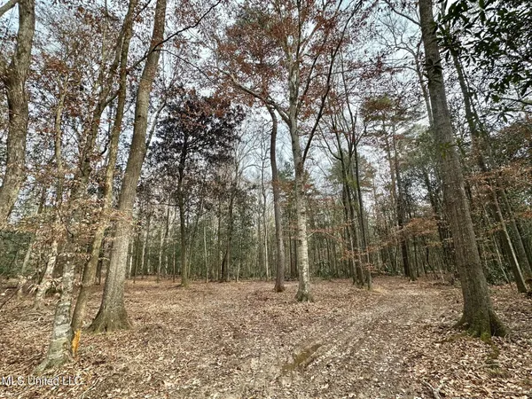 $165,000 | 1 Main Street North, Mendenhall, MS 39114