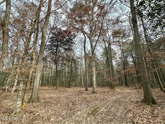 $165,000 | 1 Main Street North, Mendenhall, MS 39114