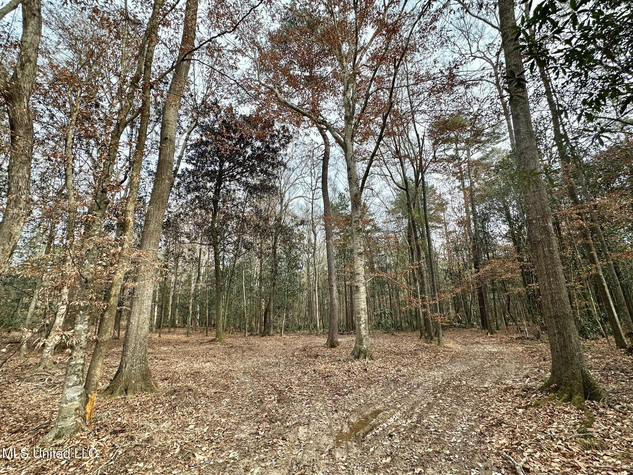 1 Main Street North Mendenhall, MS 39114 - Photo 2 of 37 1