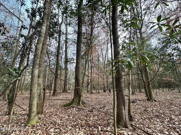 $165,000 | 1 Main Street North, Mendenhall, MS 39114