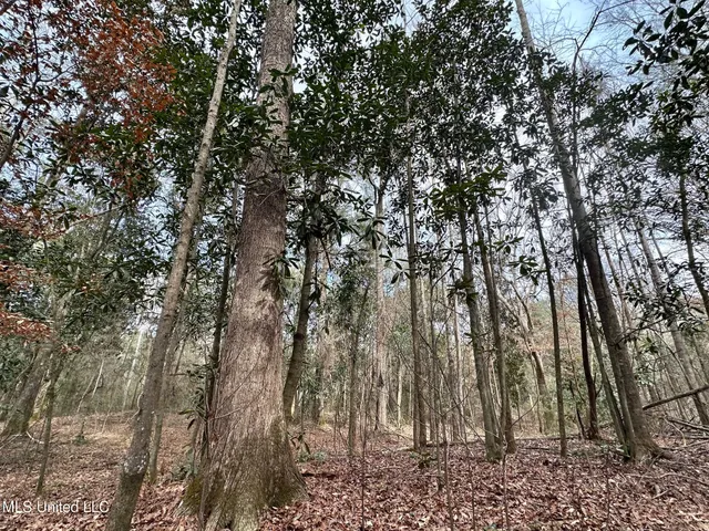 $165,000 | 1 Main Street North, Mendenhall, MS 39114