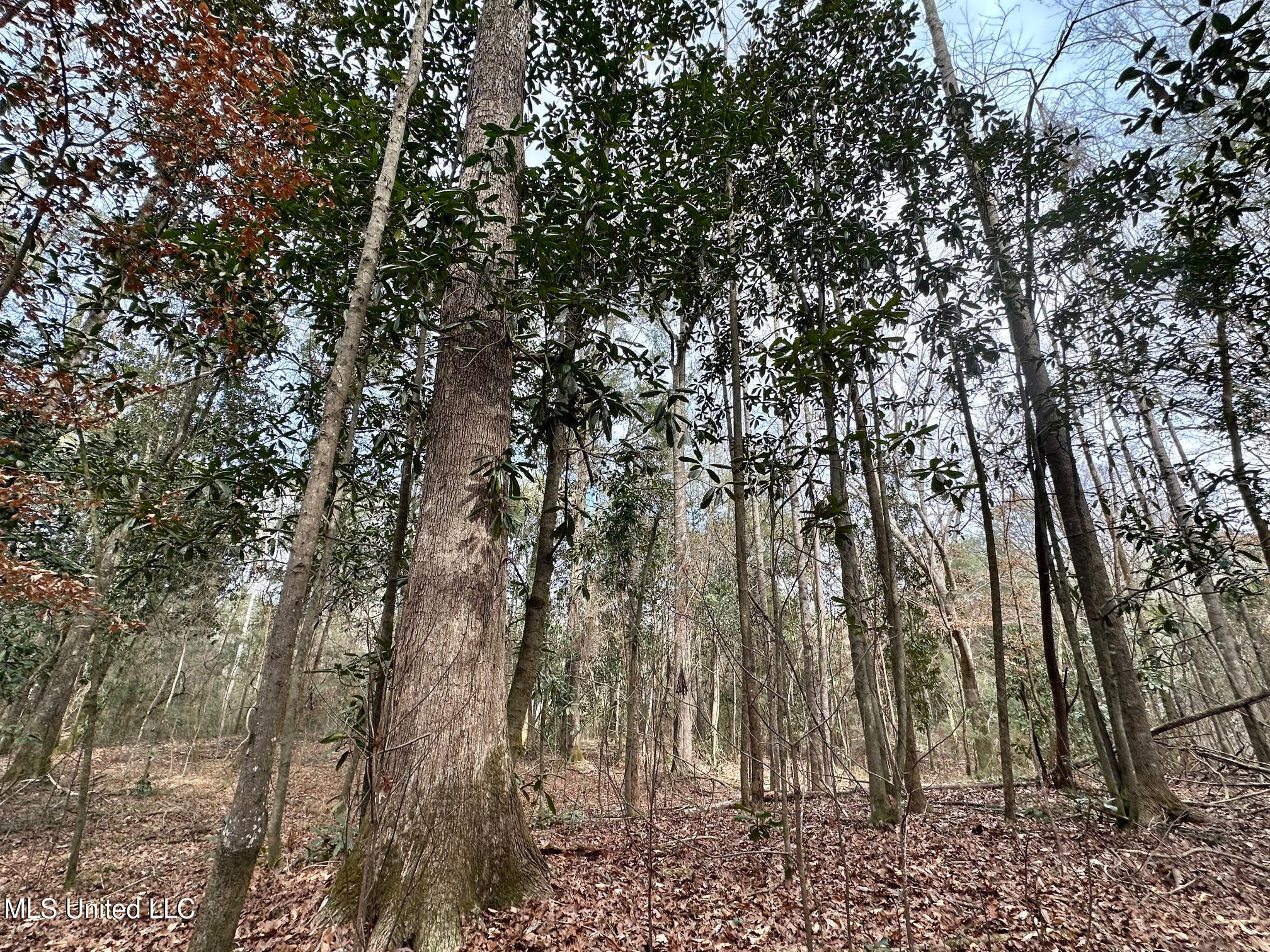 1 Main Street North Mendenhall, MS 39114 - Photo 23 of 37 22