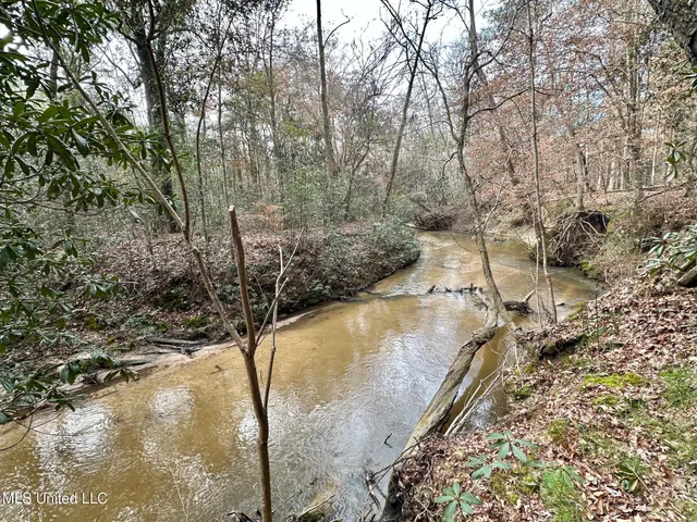 $165,000 | 1 Main Street North, Mendenhall, MS 39114