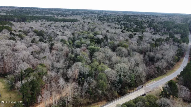 $165,000 | 1 Main Street North, Mendenhall, MS 39114