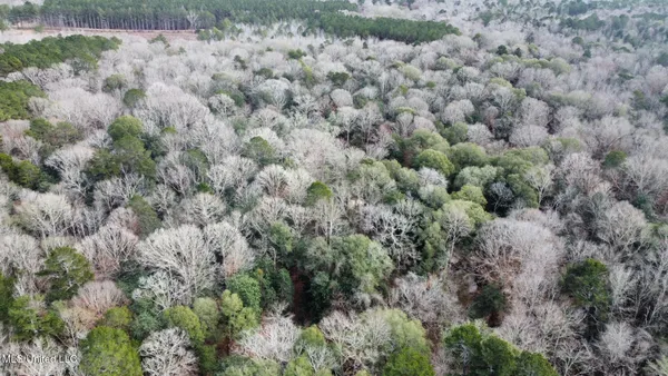 $165,000 | 1 Main Street North, Mendenhall, MS 39114