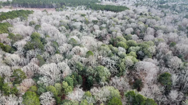 $165,000 | 1 Main Street North, Mendenhall, MS 39114