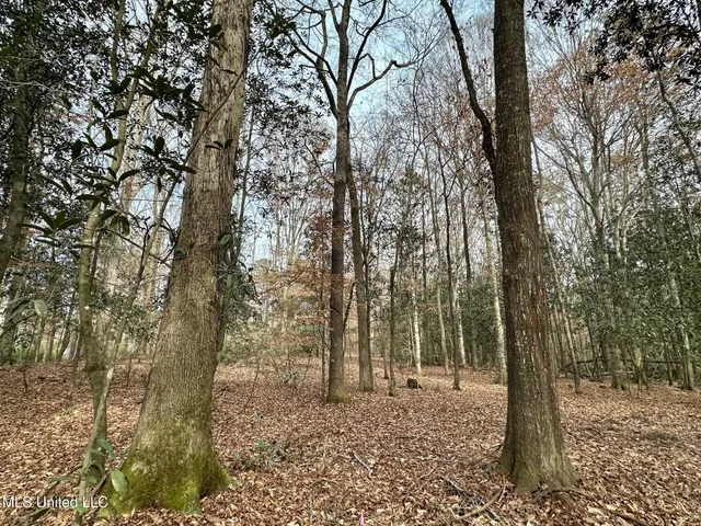 $165,000 | 1 Main Street North, Mendenhall, MS 39114