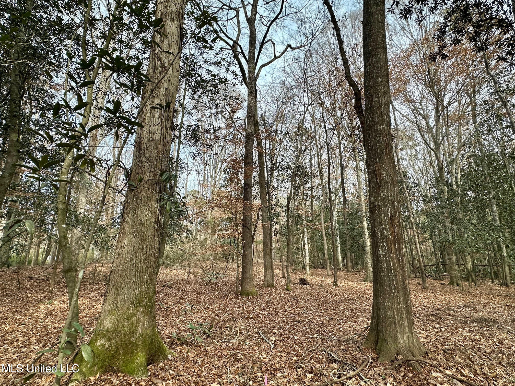 1 Main Street North Mendenhall, MS 39114 - Photo 3 of 37 2