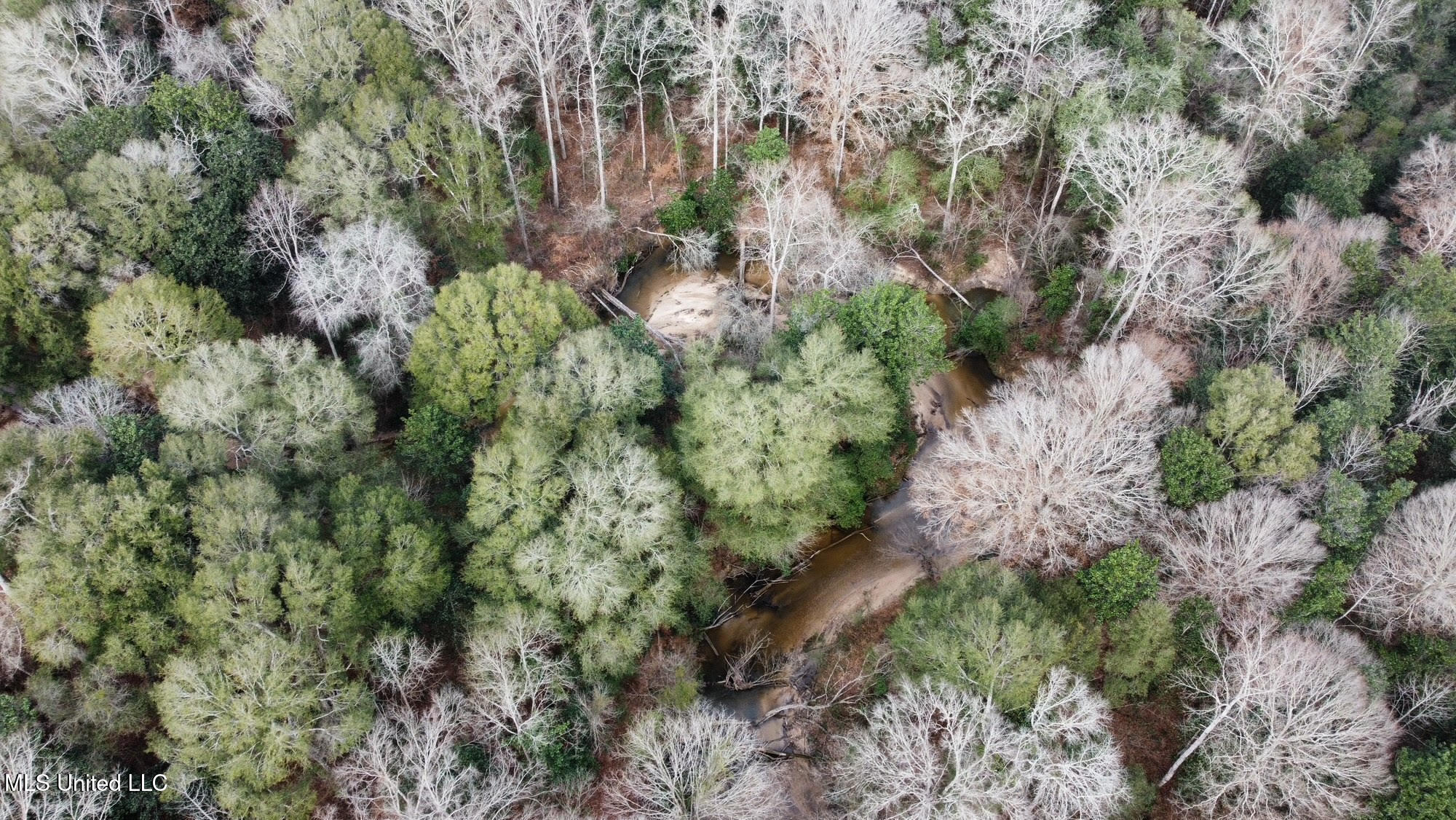 1 Main Street North Mendenhall, MS 39114 - Photo 31 of 37 31