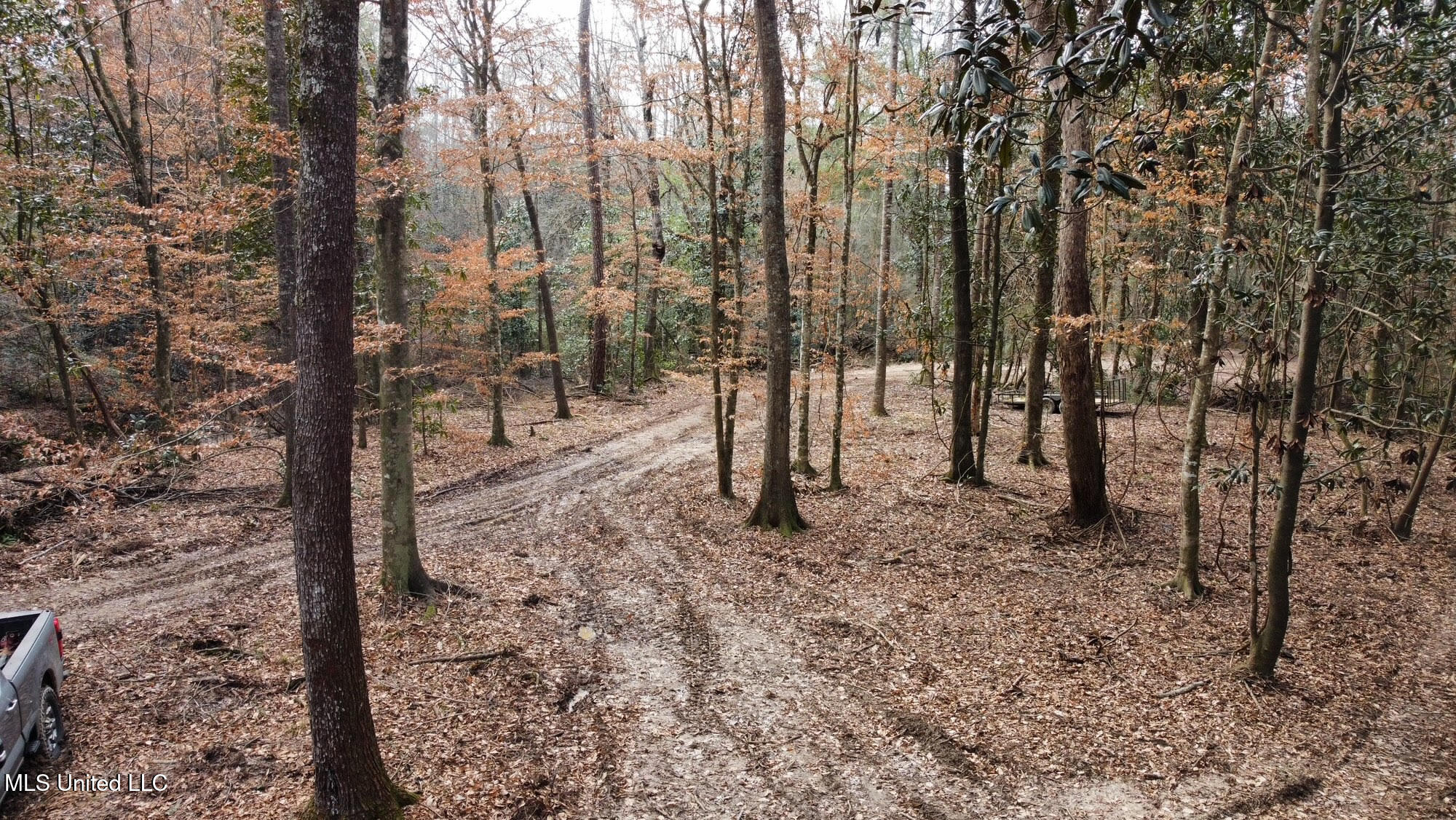 1 Main Street North Mendenhall, MS 39114 - Photo 33 of 37 33