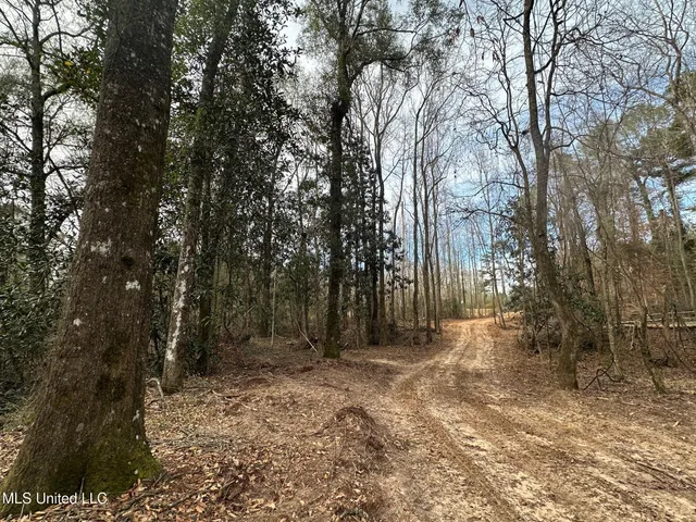 $165,000 | 1 Main Street North, Mendenhall, MS 39114