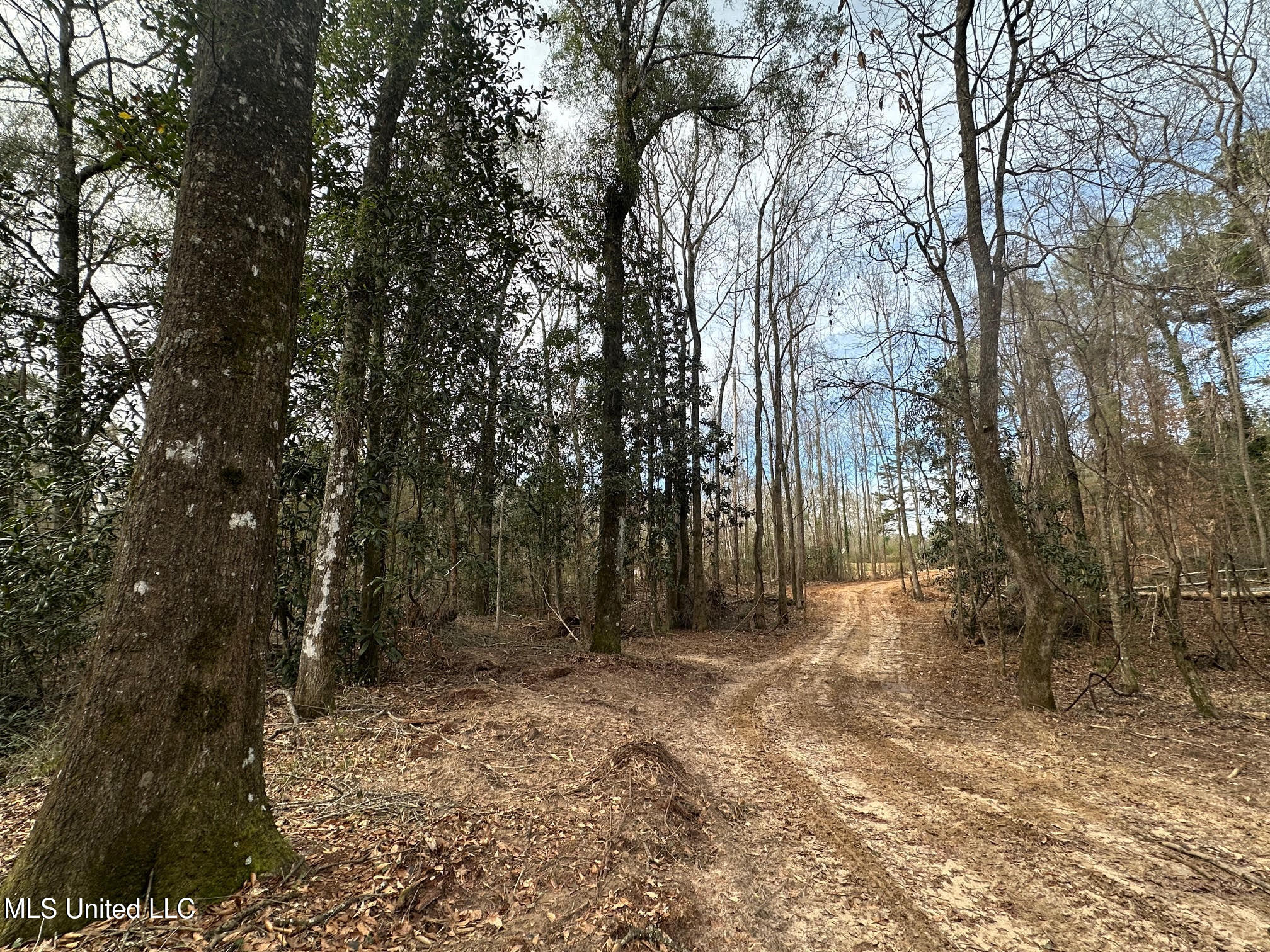 1 Main Street North Mendenhall, MS 39114 - Photo 34 of 37 34