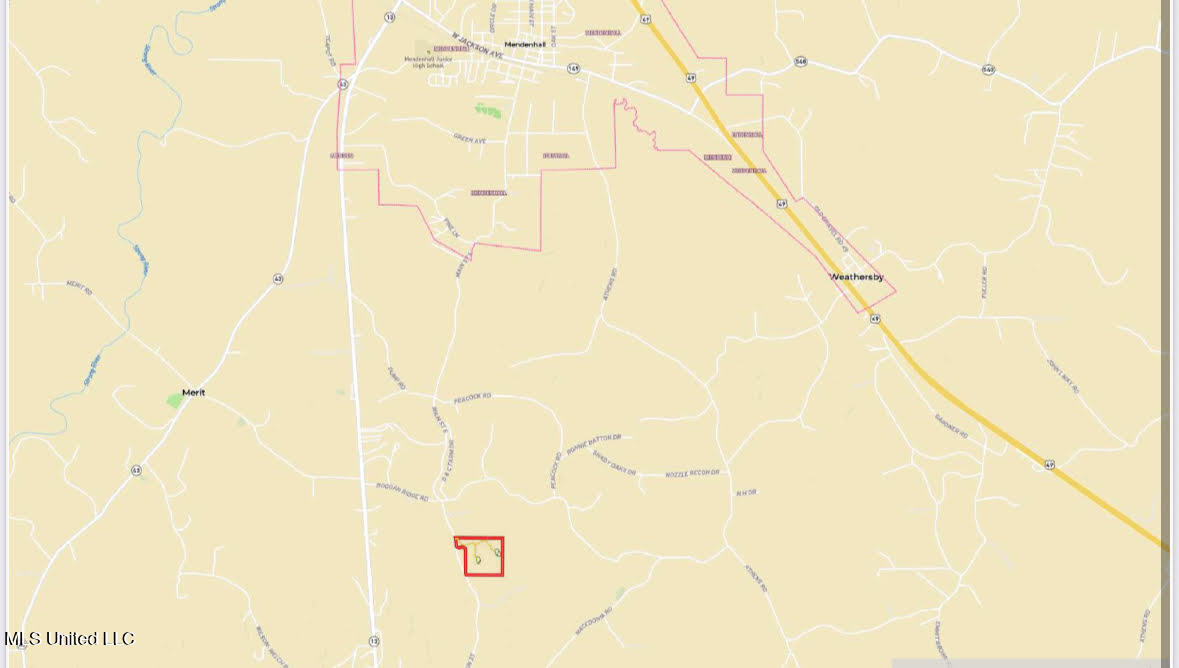 1 Main Street North Mendenhall, MS 39114 - Photo 37 of 37 37