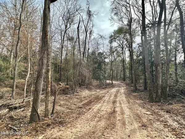 $165,000 | 1 Main Street North, Mendenhall, MS 39114