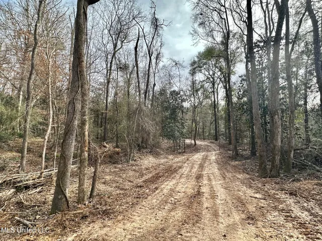 $165,000 | 1 Main Street North, Mendenhall, MS 39114