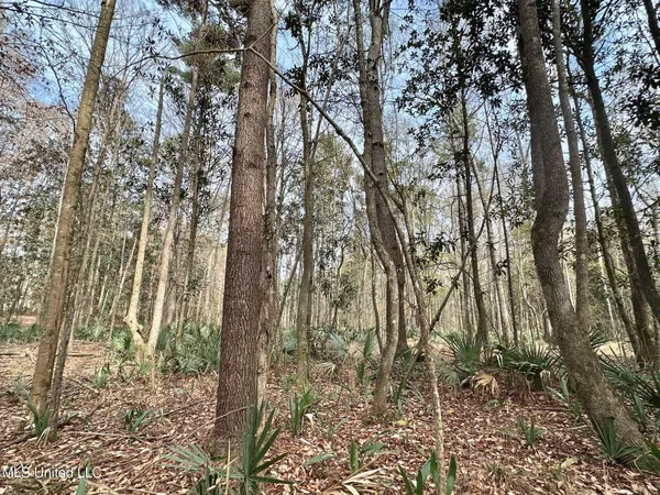 $165,000 | 1 Main Street North, Mendenhall, MS 39114