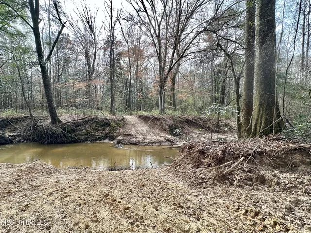 $165,000 | 1 Main Street North, Mendenhall, MS 39114