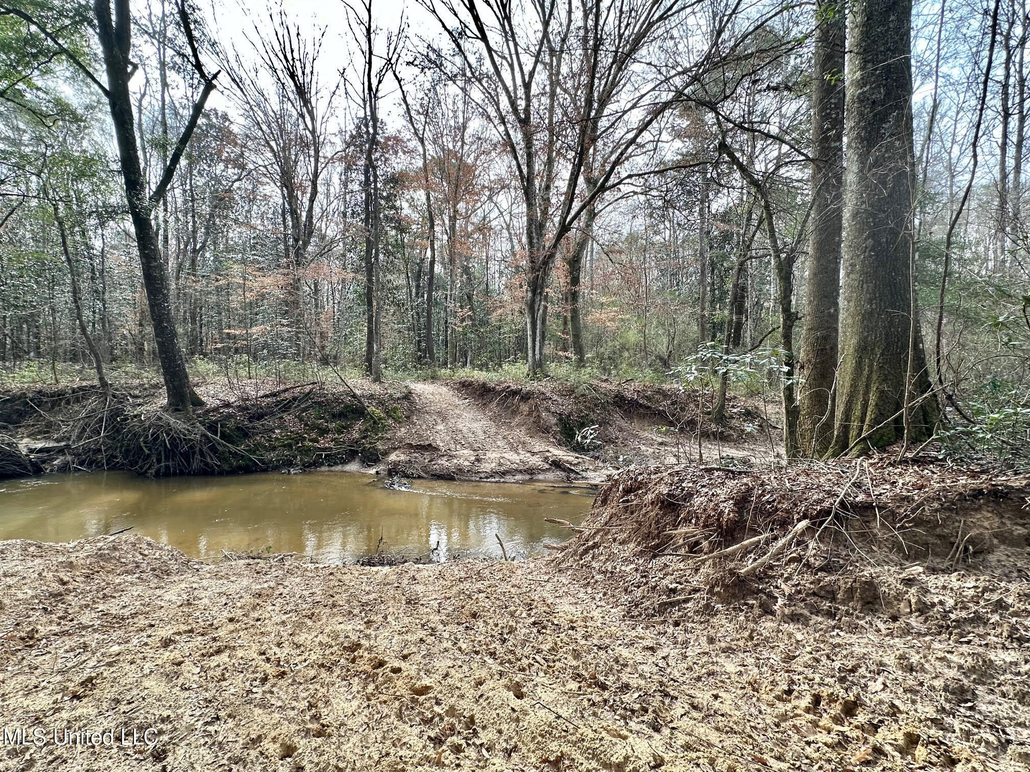 1 Main Street North Mendenhall, MS 39114 - Photo 7 of 37 6