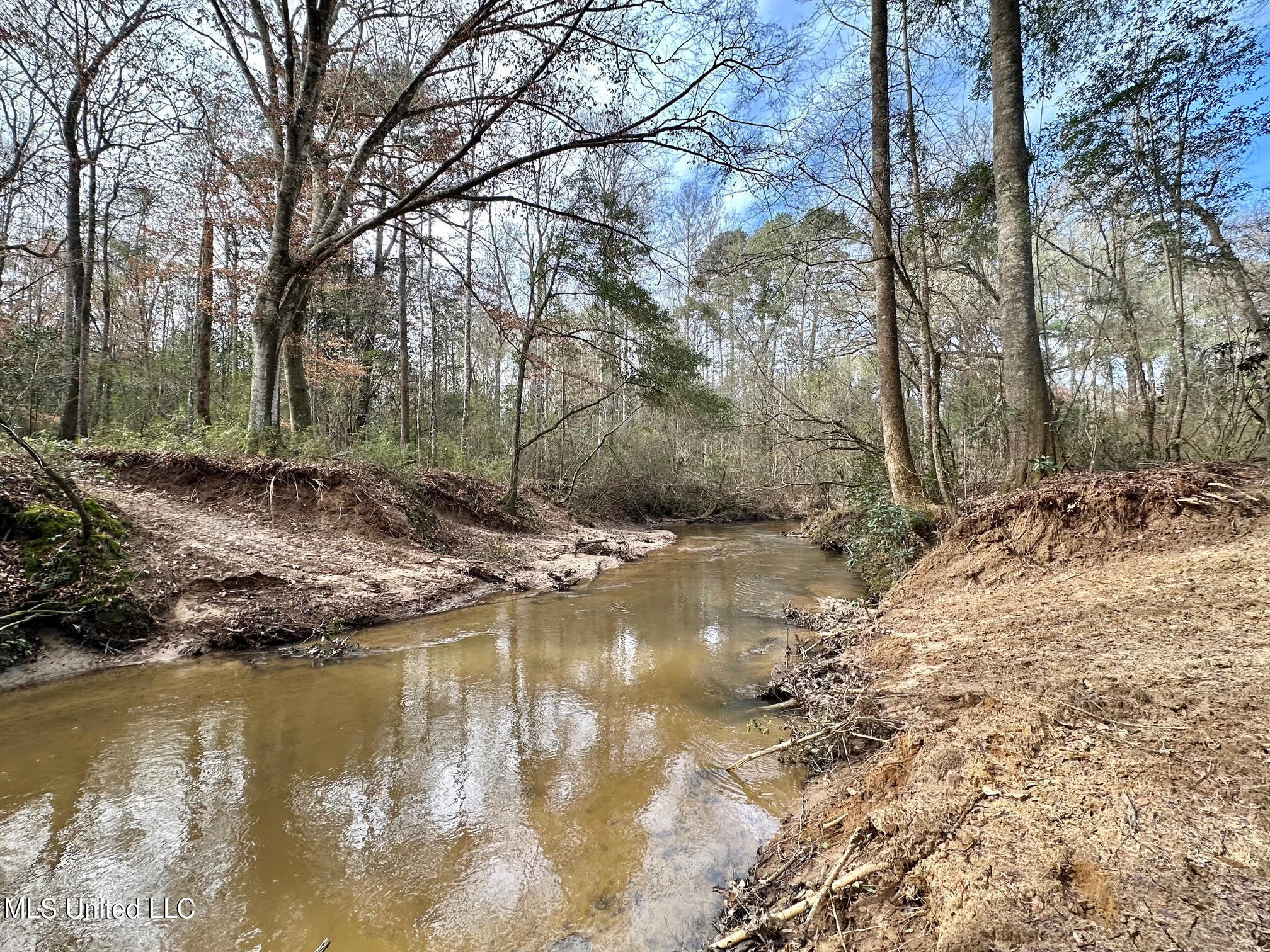 1 Main Street North Mendenhall, MS 39114 - Photo 9 of 37 8