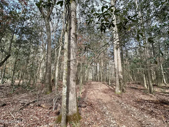 $165,000 | 1 Main Street North, Mendenhall, MS 39114