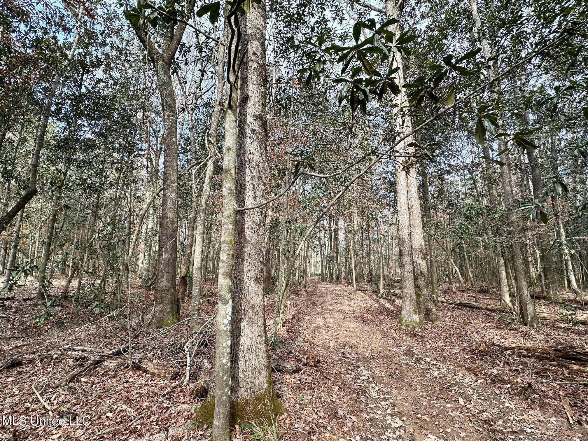 1 Main Street North Mendenhall, MS 39114 - Photo 10 of 37 9