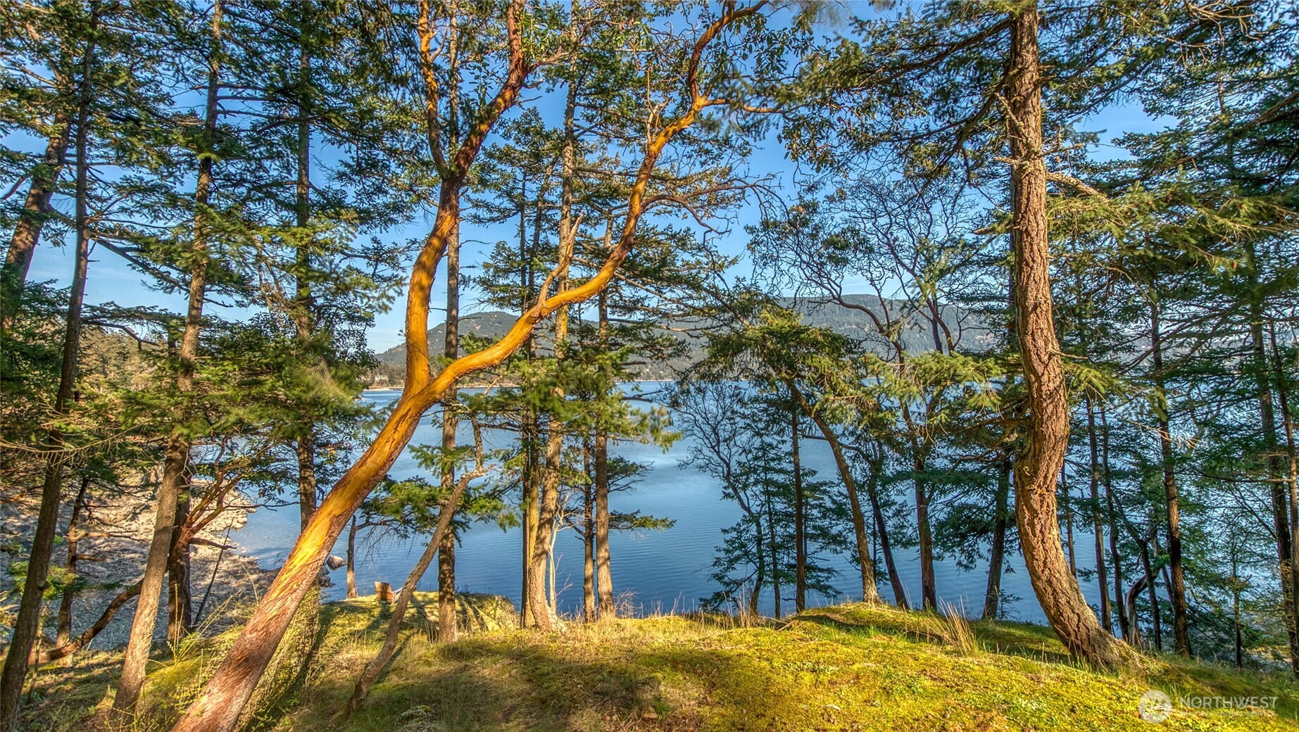 79 Judd Cove Road Orcas Island, WA 98245 - Photo 16 of 40