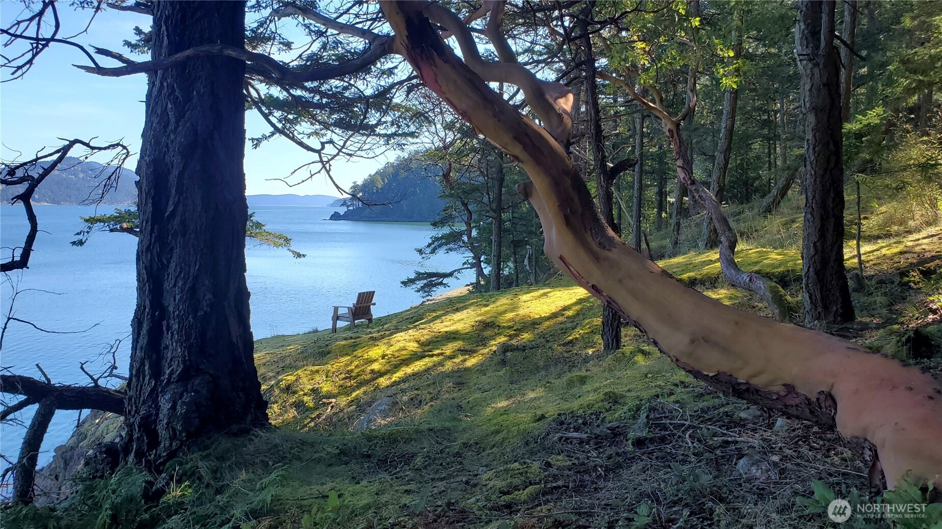79 Judd Cove Road Orcas Island, WA 98245 - Photo 40 of 40