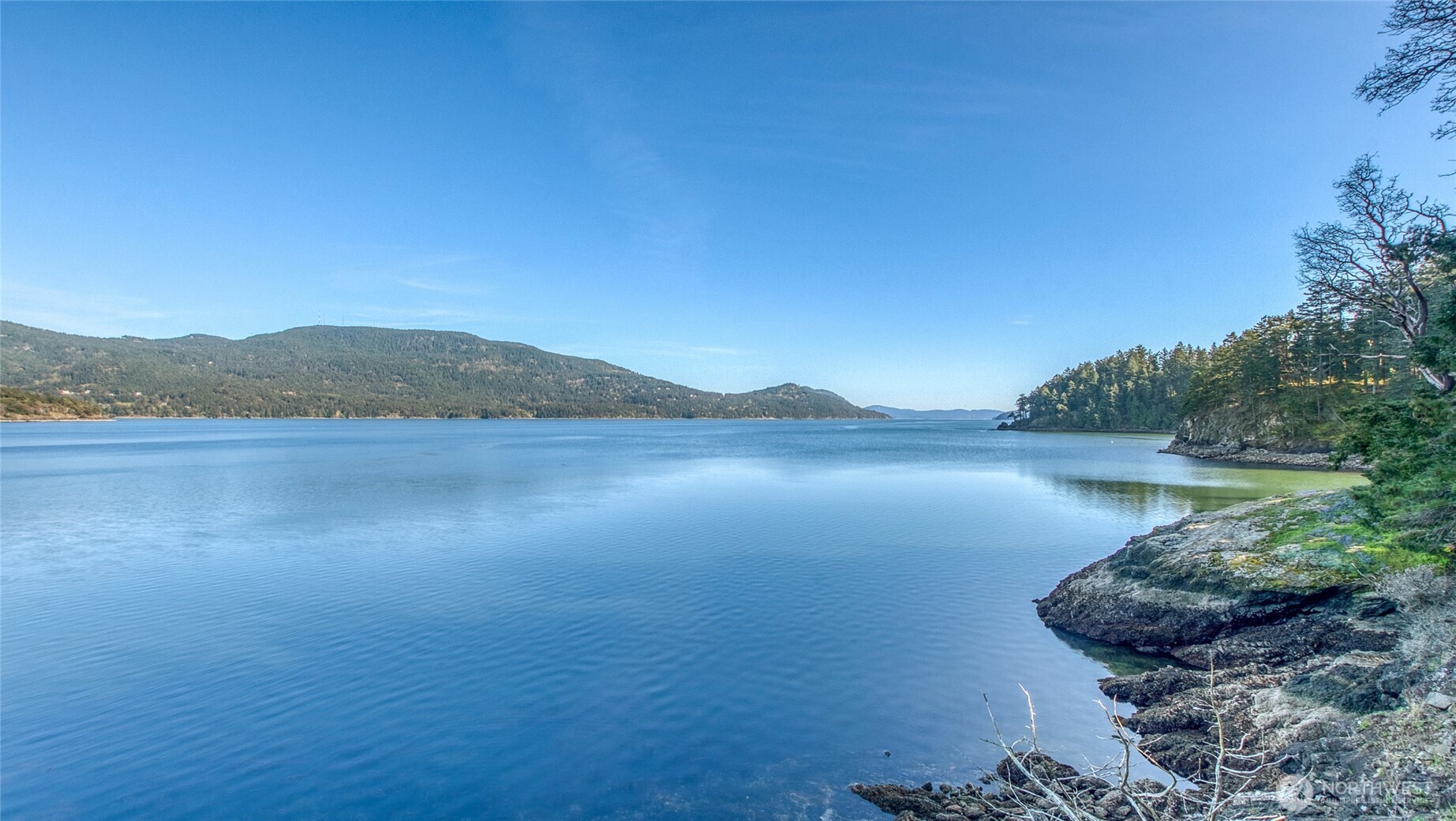79 Judd Cove Road Orcas Island, WA 98245 - Photo 8 of 40